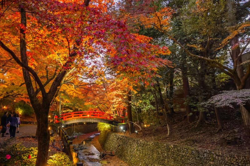 Autumn colors in Japan: the magic atmosphere of Kyoto