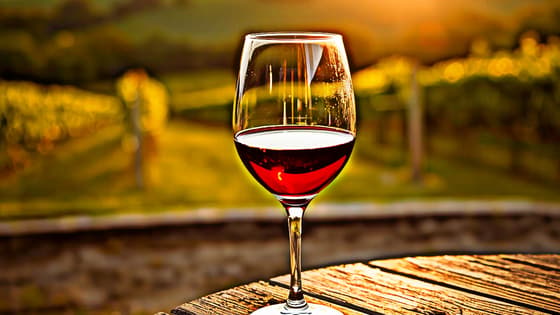 Wine events are waiting for you in Europe