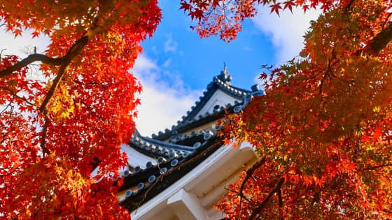 El peculiar «spa» de Hakone en Japòn: vivir una experiencia