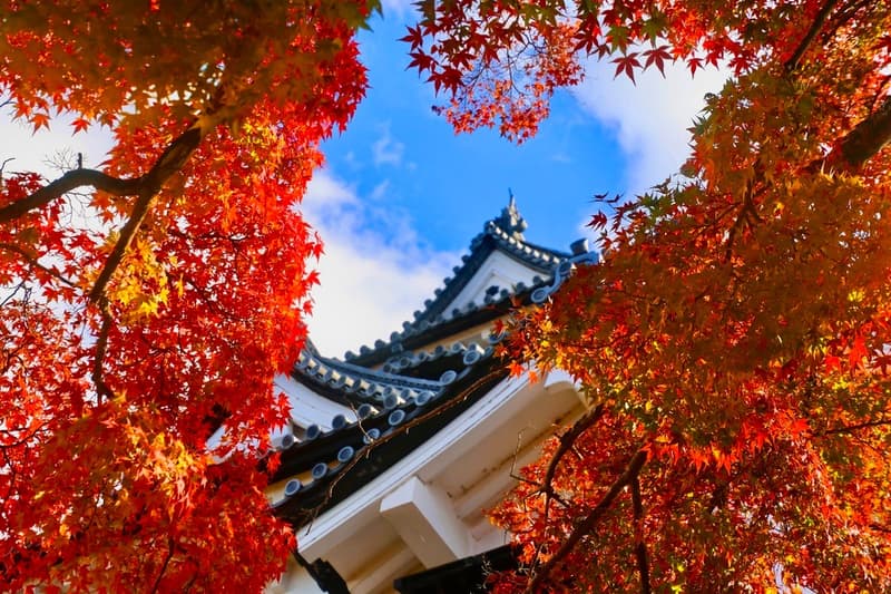 El peculiar «spa» de Hakone en Japòn: vivir una experiencia